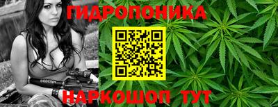 герыч Краснодар