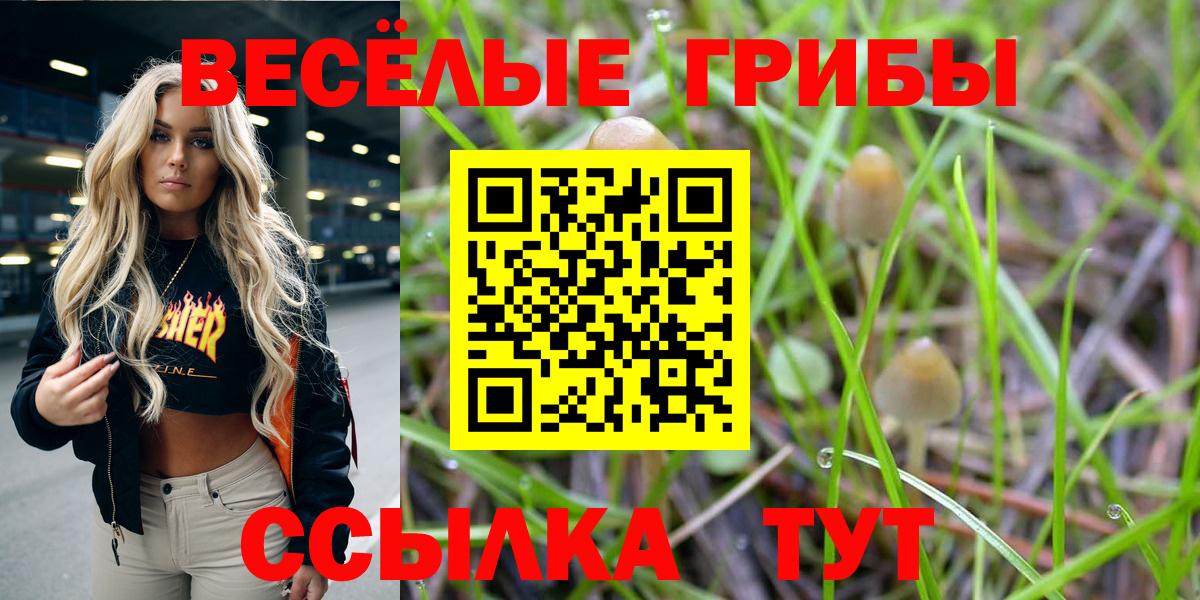 Карпинск  что такое наркотик  Вход с VPN  Псилоцибиновые грибы Psilocybe 